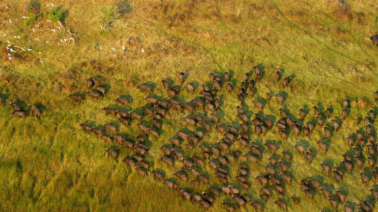 Discovering the Hidden Corners of Botswana’s Okavango Delta